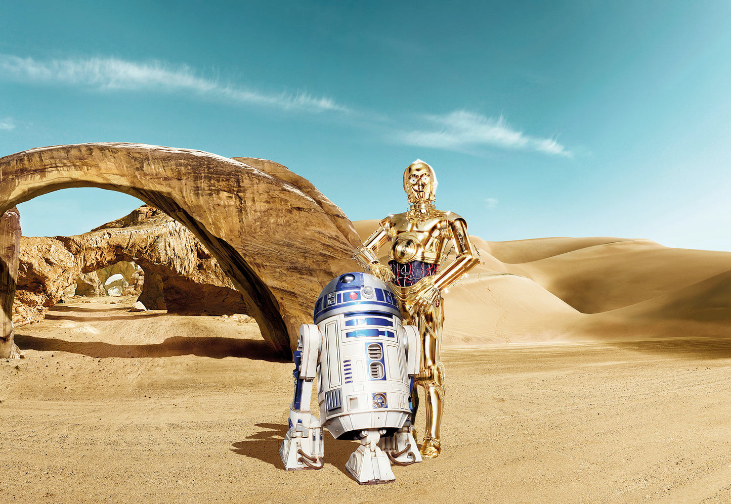 STAR WARS Lost Droids – photomural