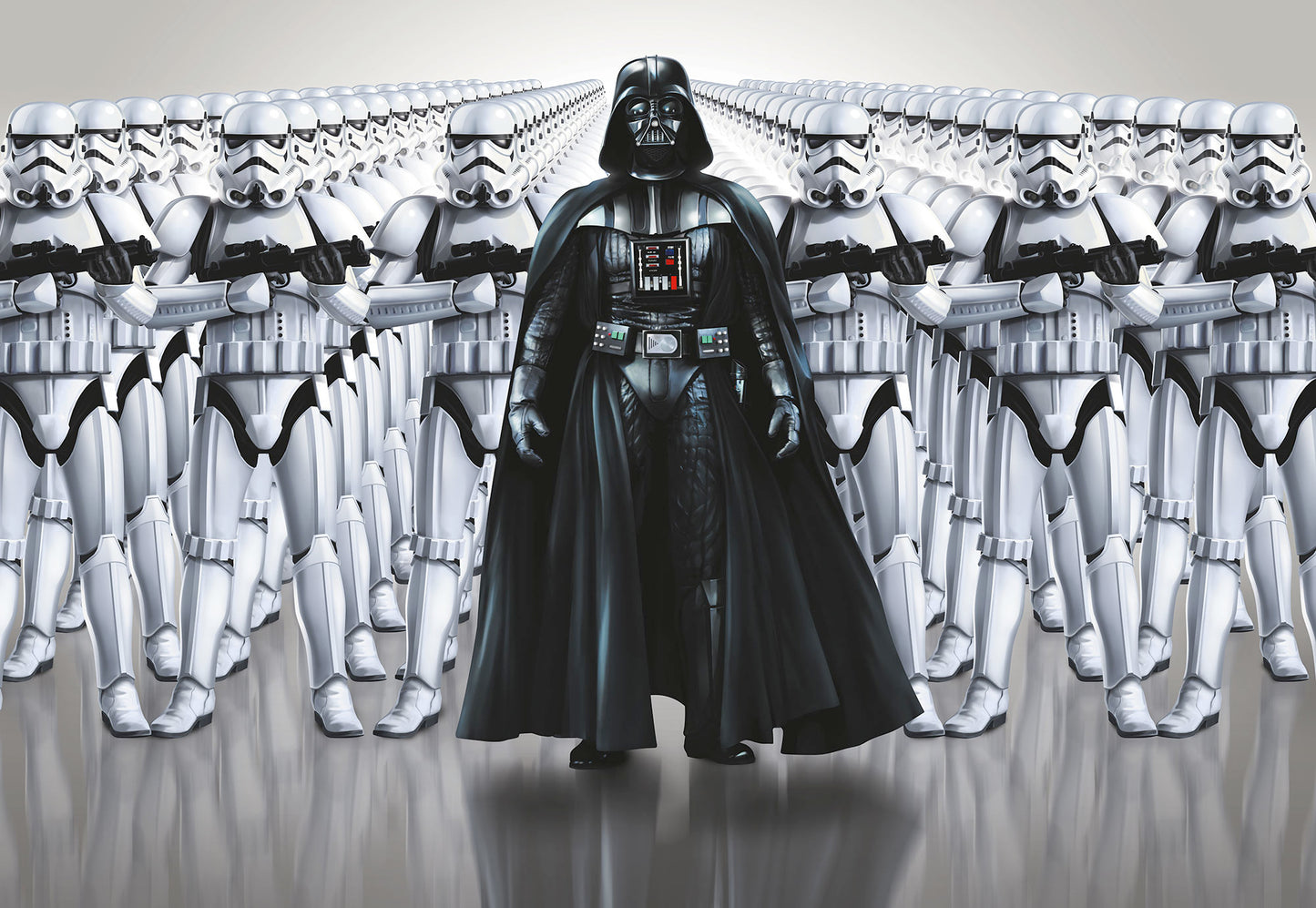 STAR WARS Imperial Force – photomural