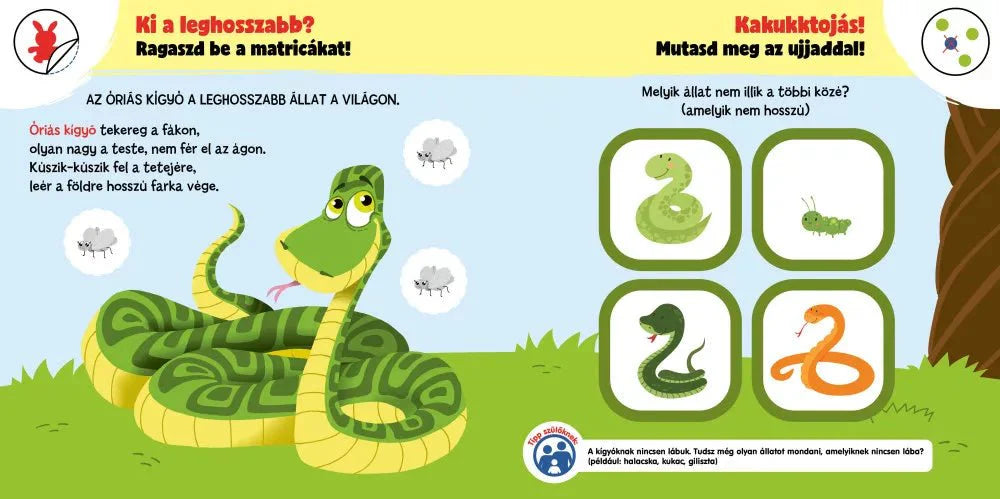 Miért olyan érdekesek az állatok? - Okoskák ovija mini - .hu - KÖNYV