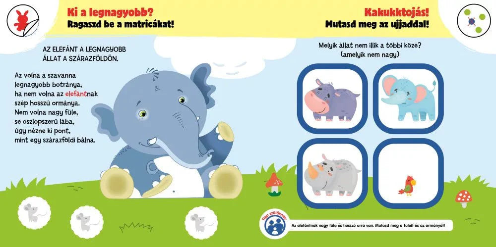 Miért olyan érdekesek az állatok? - Okoskák ovija mini - .hu - KÖNYV