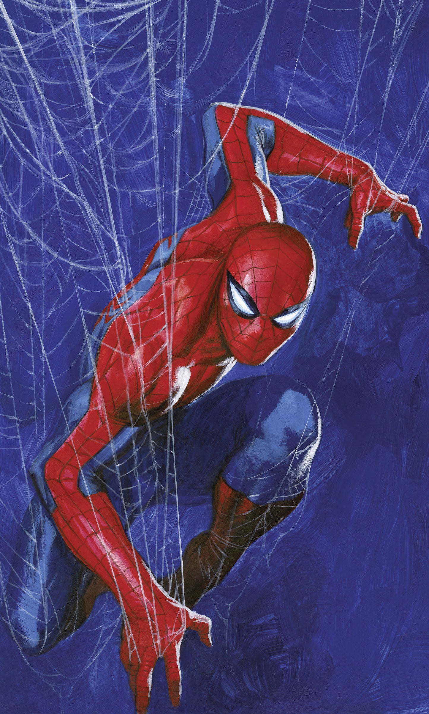 Marvel Spider-Man Spider Web – Tapéta