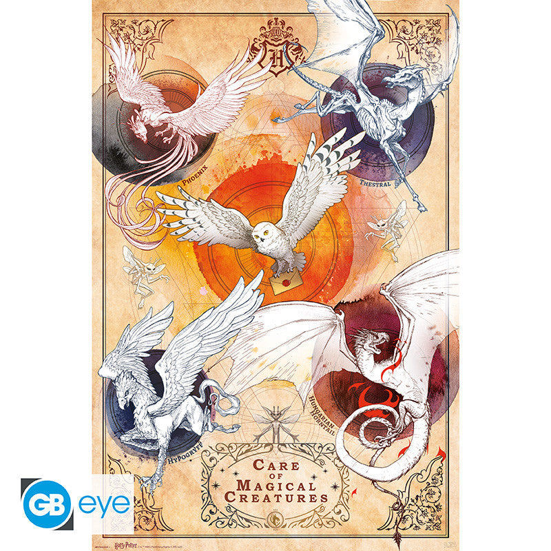 Harry Potter maxi poszter 91,5x61cm Magical Creatures