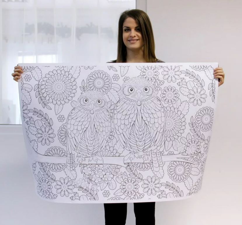 Óriás felnőtt színező (70x100cm) : Bagoly - .hu - KÖNYV